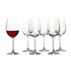 Set x 6 Copa Gastro 480 ml